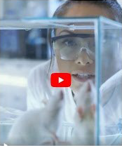 Blood sugar support research